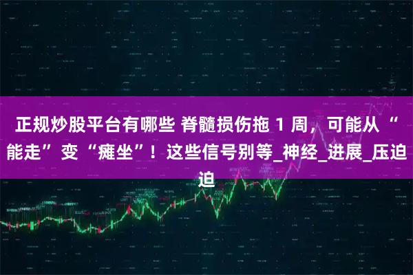 正规炒股平台有哪些 脊髓损伤拖 1 周，可能从 “能走” 变 “瘫坐”！这些信号别等_神经_进展_压迫